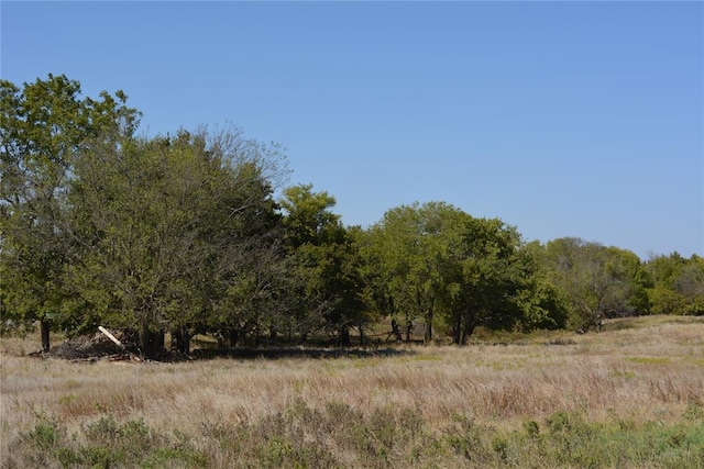 view of nature with a rural view