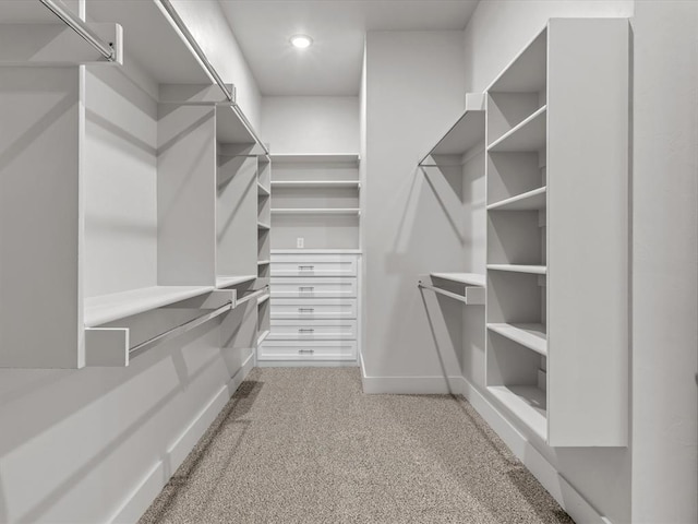 walk in closet featuring carpet flooring