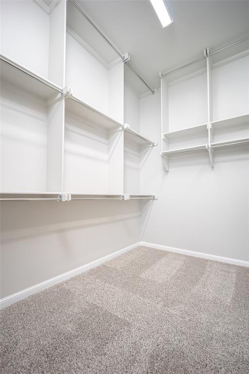 walk in closet with carpet