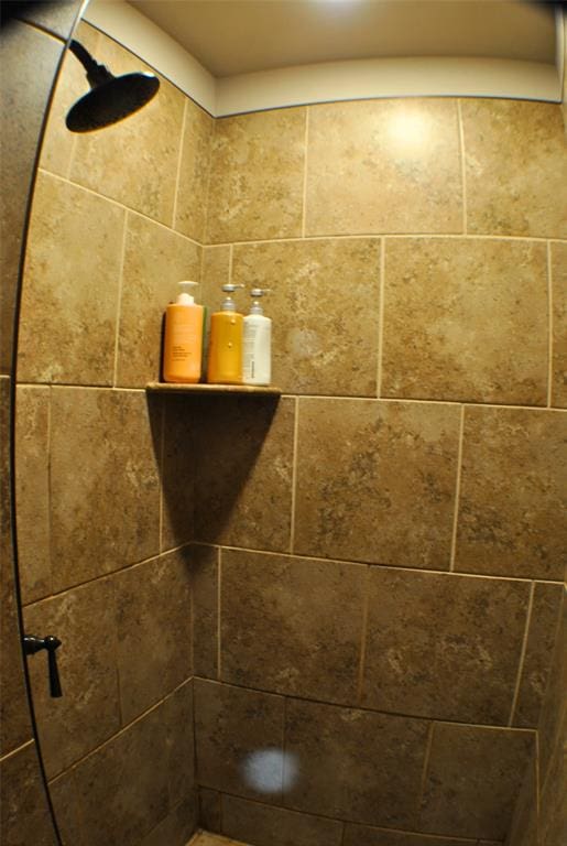 interior details with tiled shower