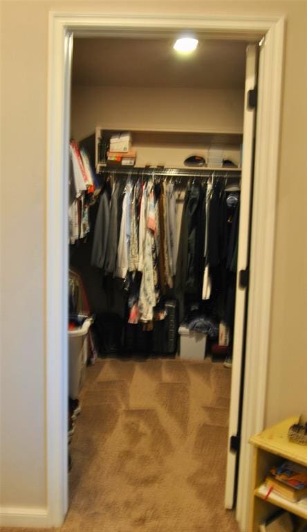 walk in closet with light colored carpet