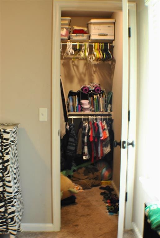 view of closet