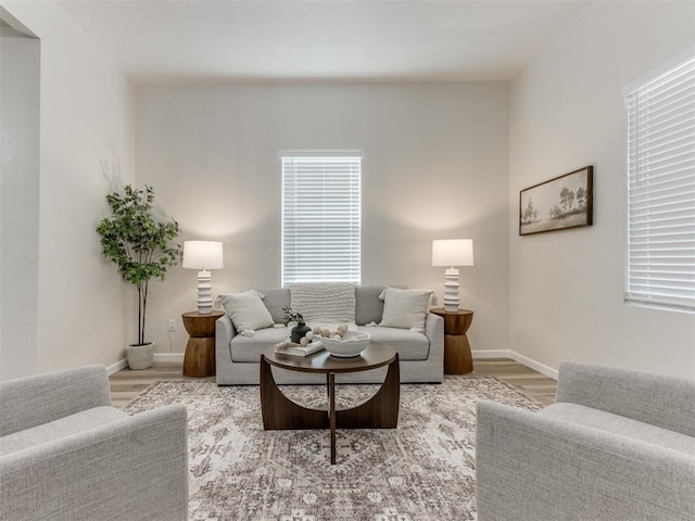 living room featuring hardwood / wood-style flooring