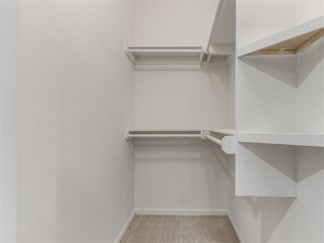 walk in closet featuring light colored carpet