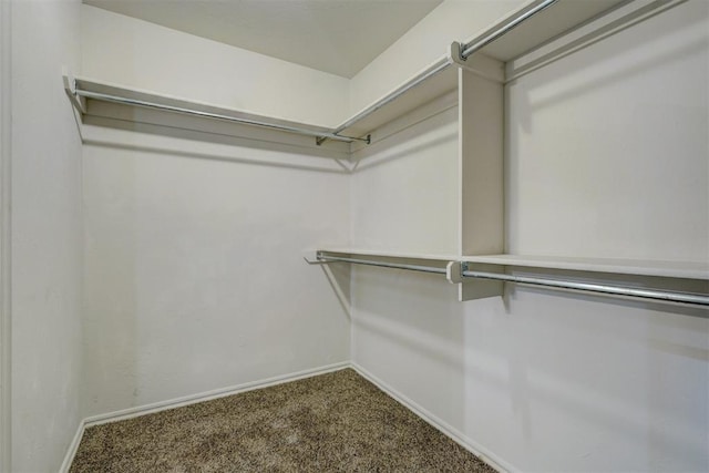 spacious closet with carpet floors