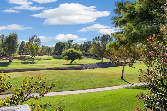 view of community with a yard