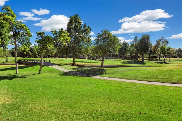 view of community featuring a lawn