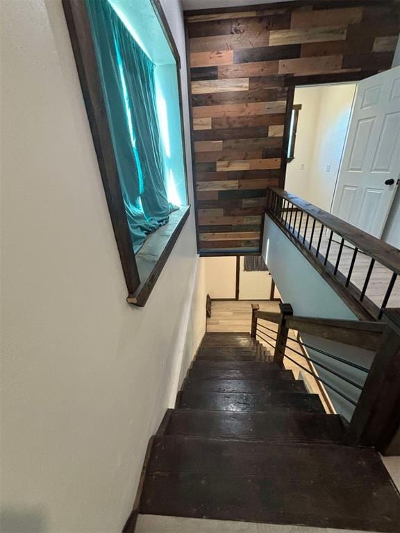 stairs with wood-type flooring and wooden walls