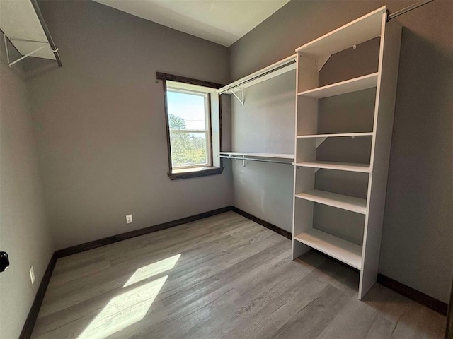 spacious closet featuring light hardwood / wood-style flooring