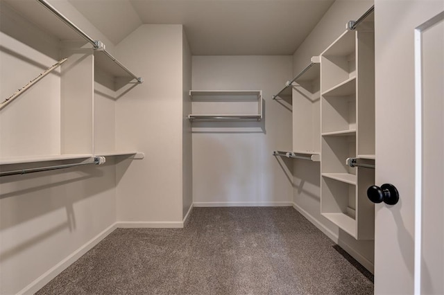 spacious closet with dark colored carpet