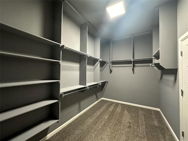 walk in closet with carpet