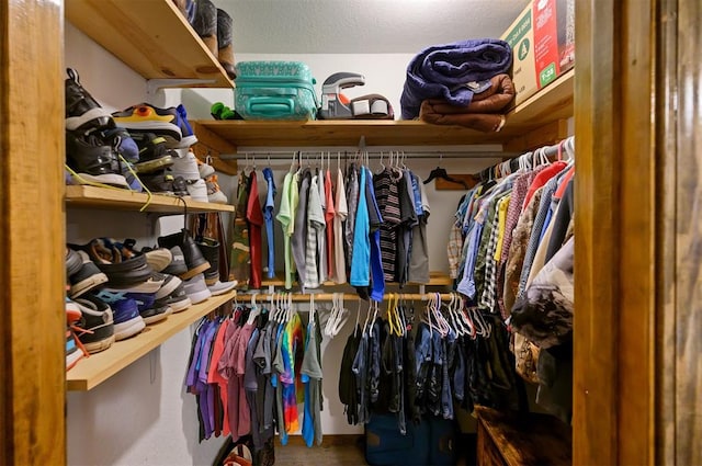 view of spacious closet