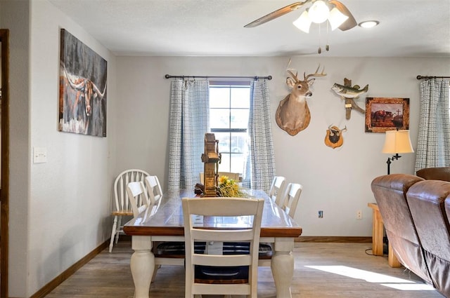 dining room with ceiling fan and hardwood / wood-style flooring