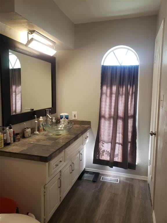 bathroom with hardwood / wood-style flooring and vanity