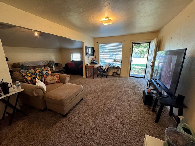 carpeted living room with a textured ceiling