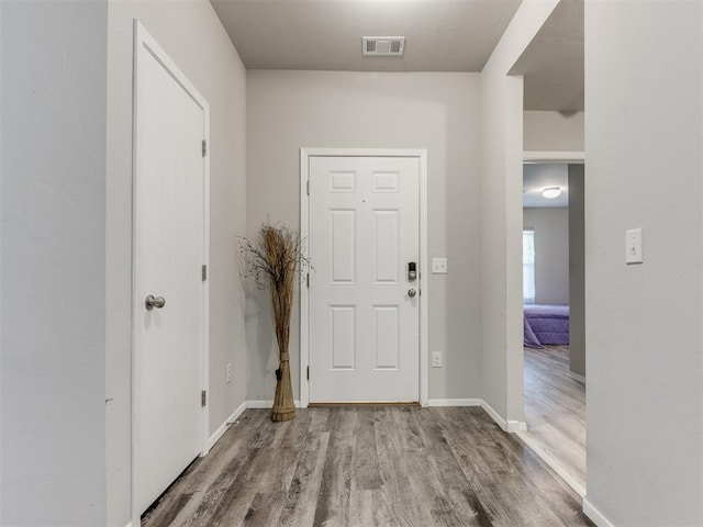 entrance foyer featuring wood-type flooring