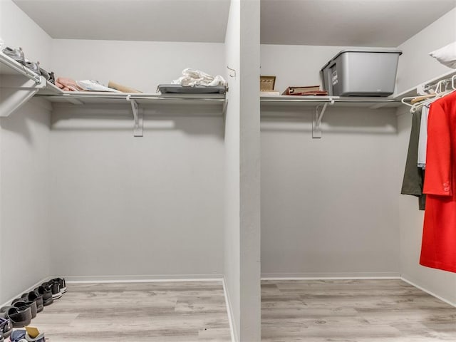 walk in closet with light hardwood / wood-style floors