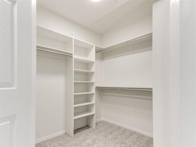 walk in closet featuring light colored carpet