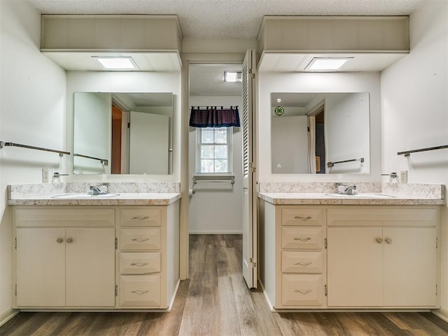 bathroom featuring hardwood / wood-style flooring and vanity