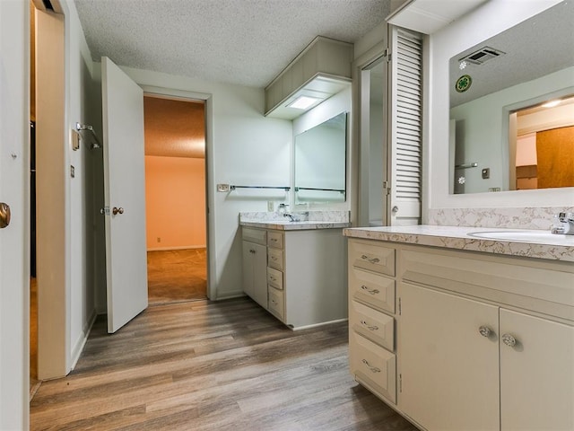 bathroom with vanity, wood-type flooring, and a textured ceiling