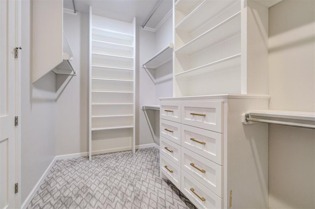 walk in closet with light carpet