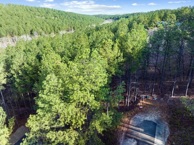 Broken Branch Trl, Broken Bow OK, 74728 land for sale