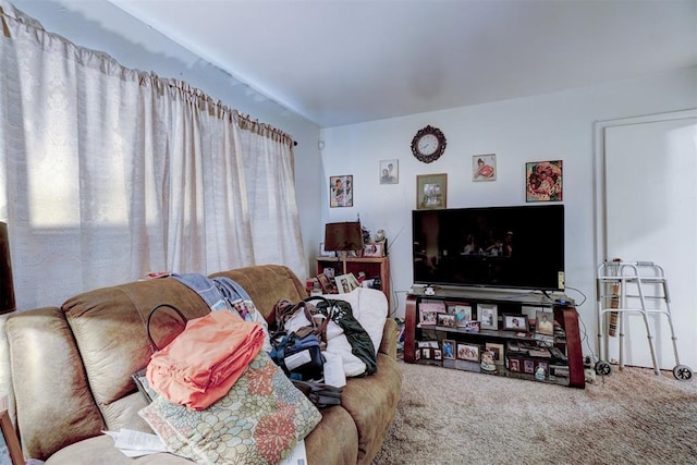 living room with carpet floors