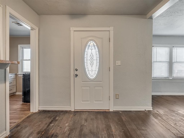 foyer entrance featuring dark wood-type flooring and a healthy amount of sunlight