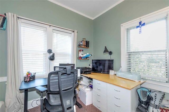 office space featuring carpet flooring, crown molding, and a healthy amount of sunlight