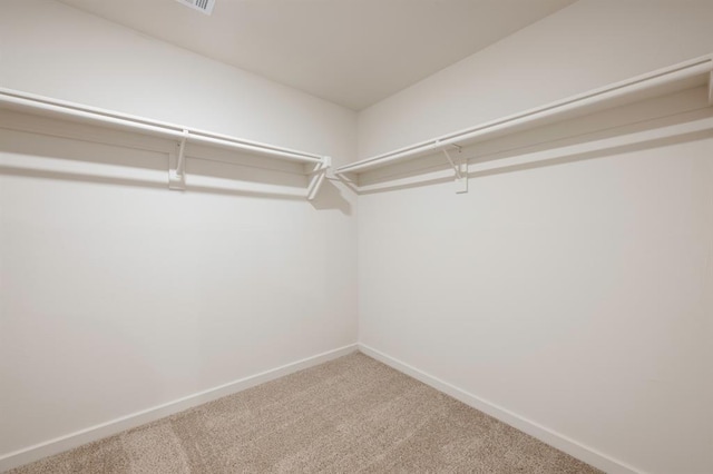 walk in closet with carpet floors