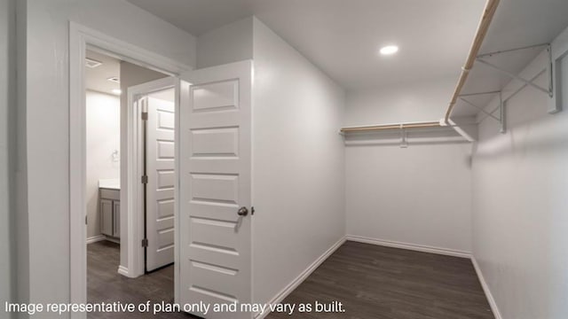 spacious closet featuring dark wood-style flooring