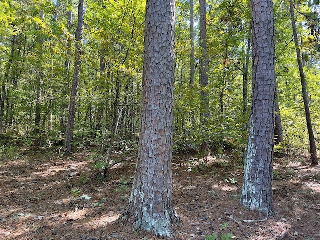view of nature