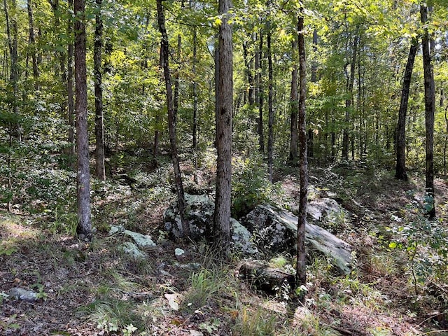 view of landscape