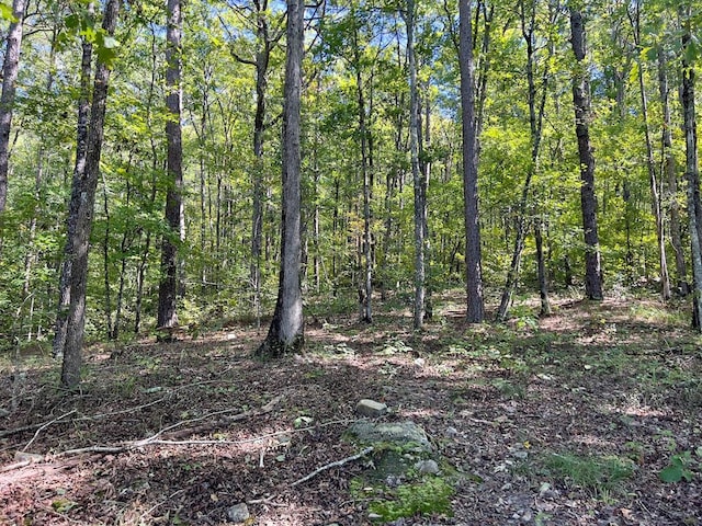 view of nature