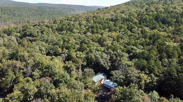 bird's eye view featuring a mountain view