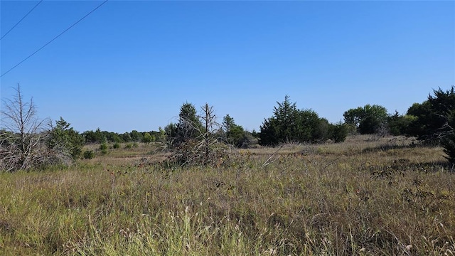 view of nature with a rural view