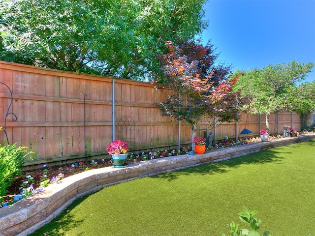 view of yard with a fenced backyard