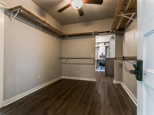 spacious closet with ceiling fan and dark wood-type flooring