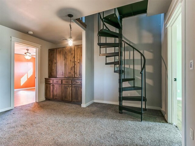 stairway featuring ceiling fan and carpet floors