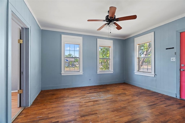 spare room with ornamental molding, a wealth of natural light, dark wood-type flooring, and ceiling fan