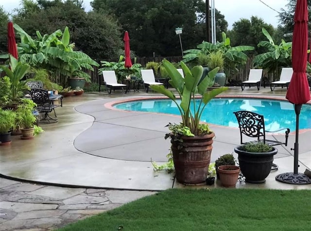 view of pool featuring a patio