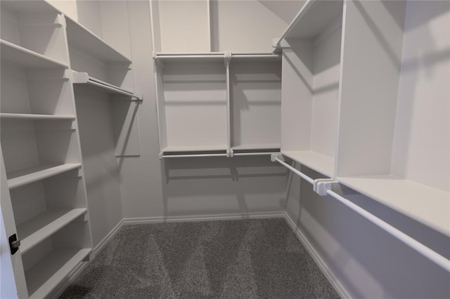 spacious closet featuring dark colored carpet