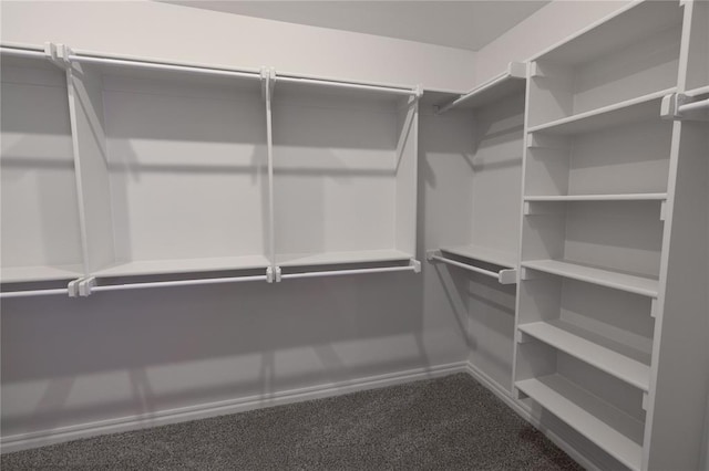 spacious closet featuring carpet