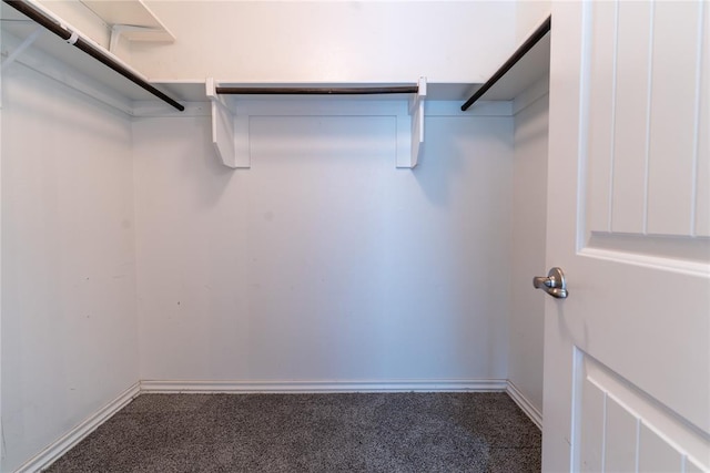 walk in closet featuring carpet