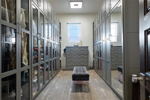 walk in closet with carpet