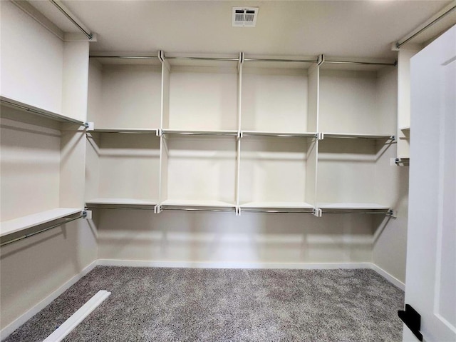 walk in closet with carpet floors