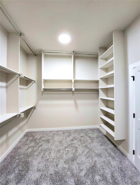 walk in closet featuring carpet floors