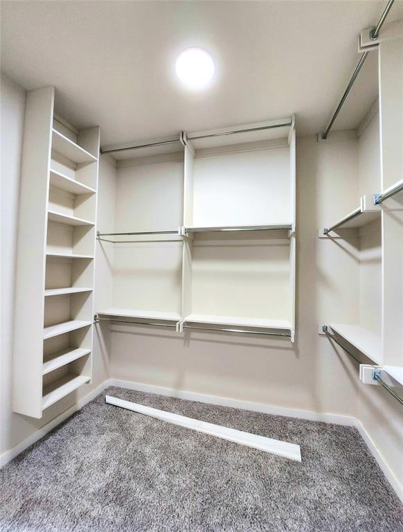 walk in closet with carpet flooring