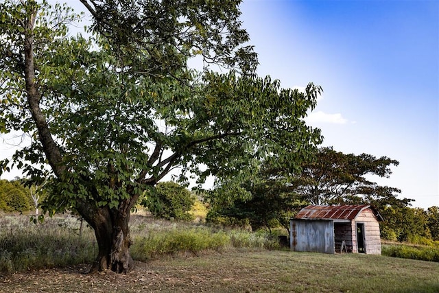 view of yard with a storage shed