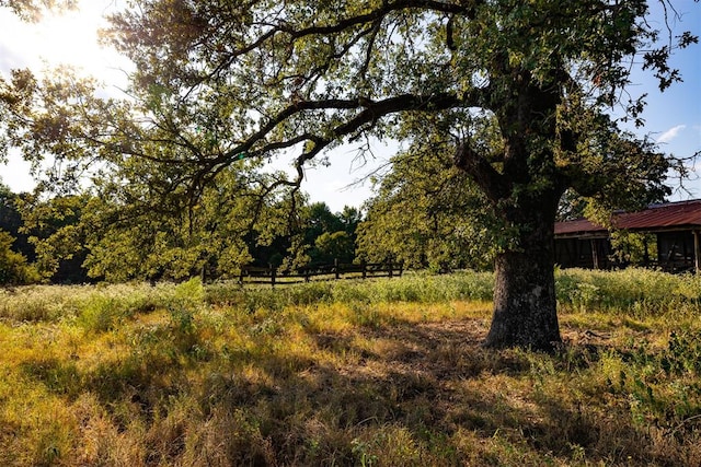 view of local wilderness